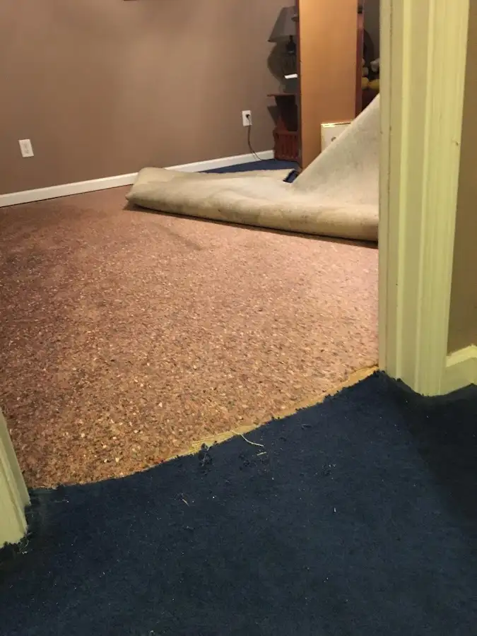 Carpet pad removal revealing water damage during Drying & Dehumidification in Oronoko
