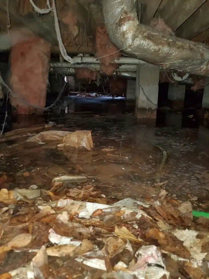 Crawl space flood assessment for Commercial Water Damage Restoration in Oronoko